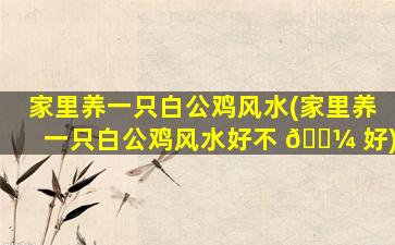 家里养一只白公鸡风水(家里养一只白公鸡风水好不 🌼 好)